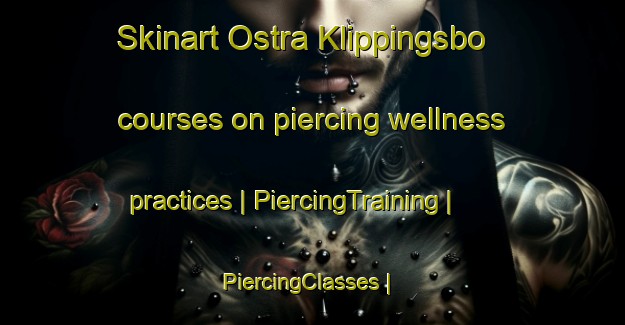 Skinart Ostra Klippingsbo courses on piercing wellness practices | PiercingTraining | PiercingClasses | SkinartTraining-Sweden